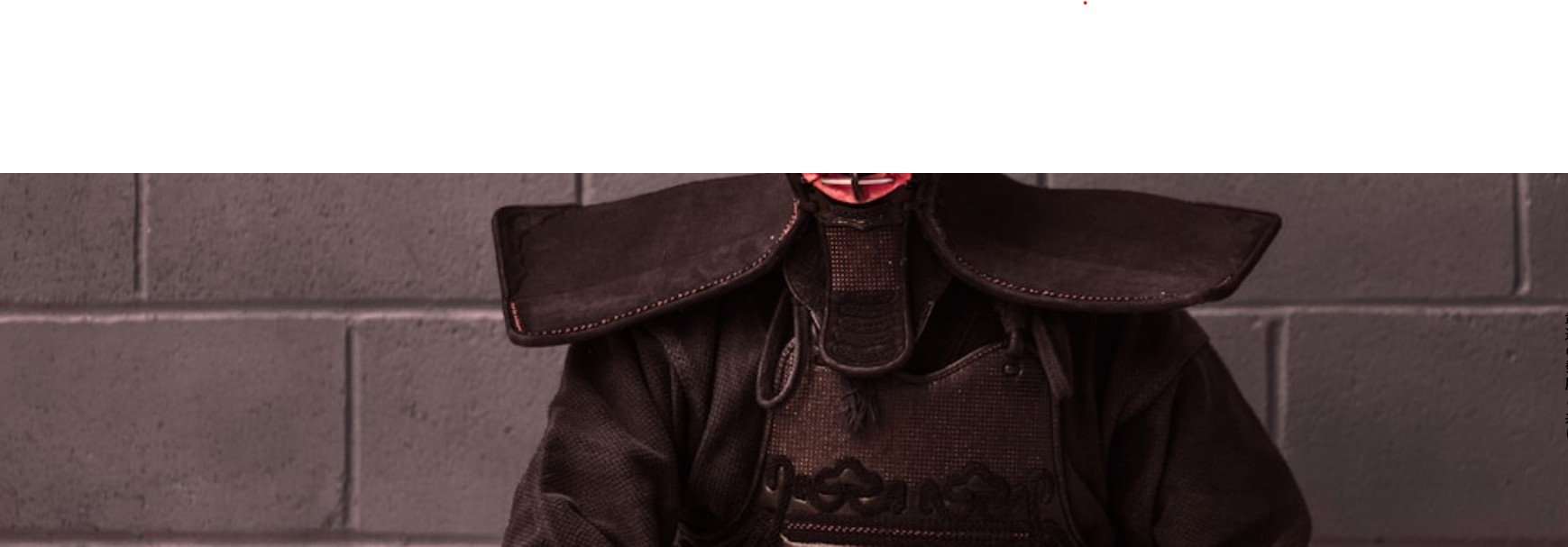 Company Banner Top